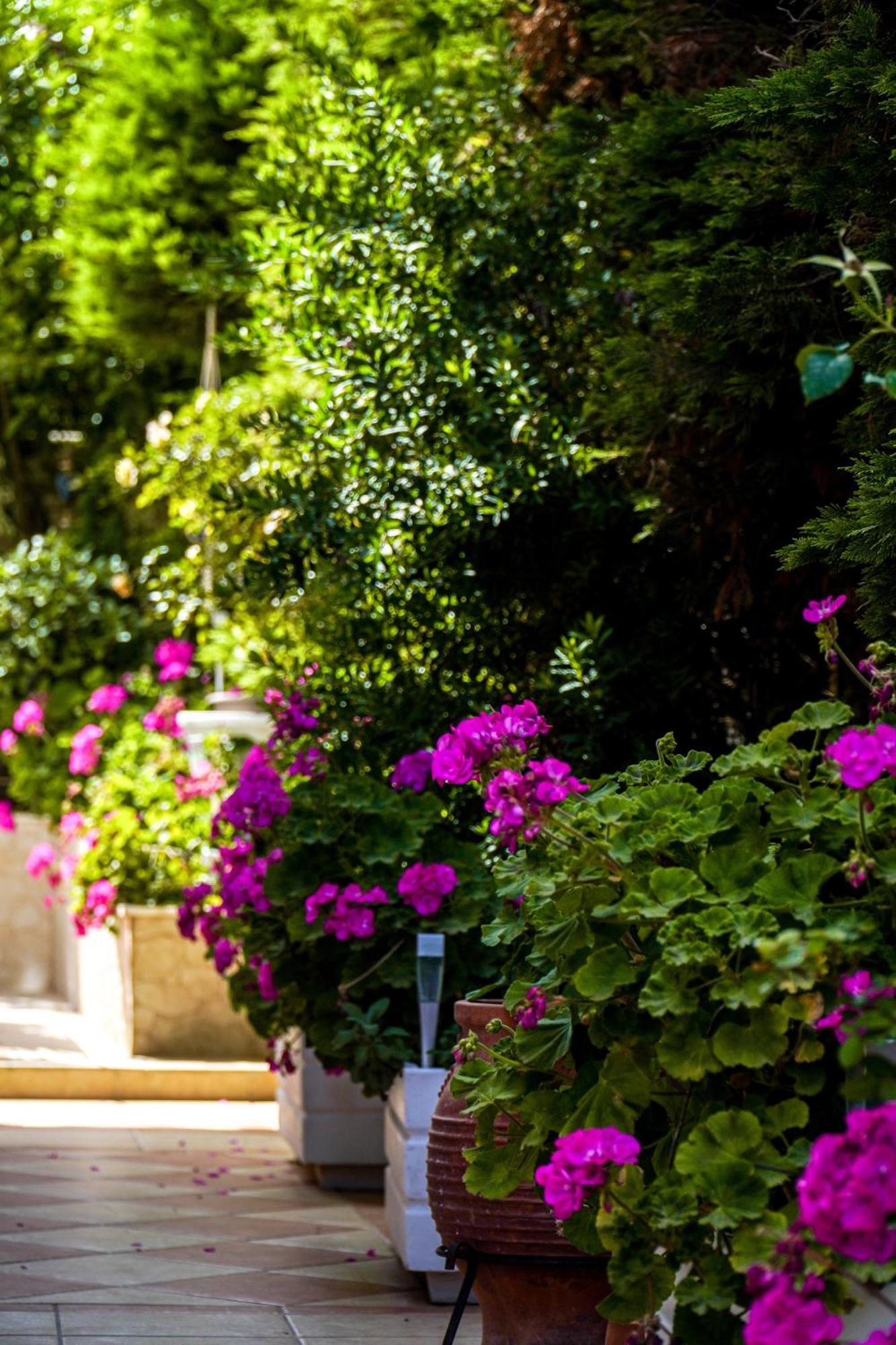 Апартаменты Cozy Artemis House Near Athens Airport Экстерьер фото